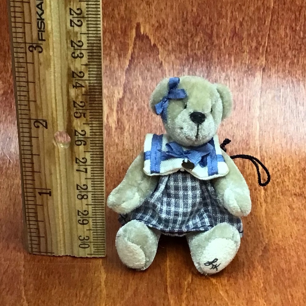 Tiny teddy bear.